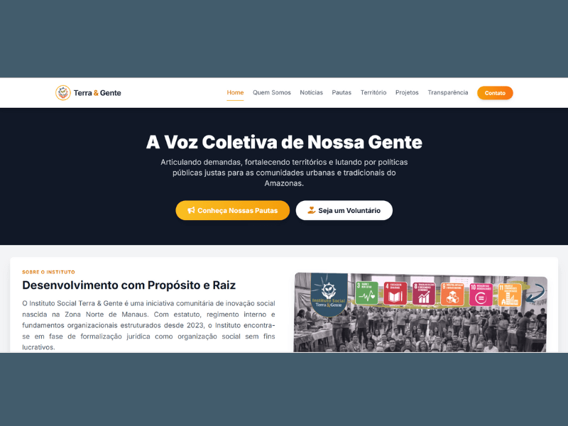 Demonstração do site Inst. Social Terra & Gente